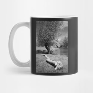 Willows Mug